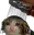 showercat Discord Emoji