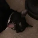 whenlifegivesyoulemons