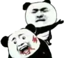 zvasml