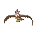 sstaraptor