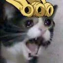 Giorno_Cat_Cry