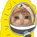:nyancorona: Discord Emote