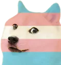 dogetrans