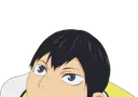 HVCpeekkags HVCpeekkags
