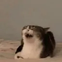 HAHAHAHAHAHAHHAHAACANCELA Discord Emoji