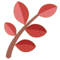 redherb