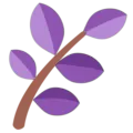 purpleherb