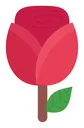 rose