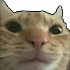 hm