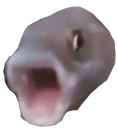 pogfish Discord emoji