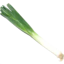 leek