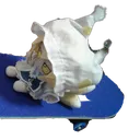 SkateboardRan2