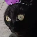 horror