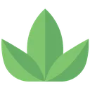 herb