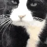 SCmlem