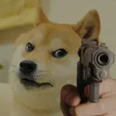 gundoggy