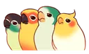 BirbDisappoint