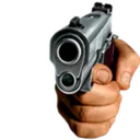 gun_gauche