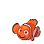 nemodaisy
