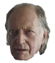 Bradleyweary