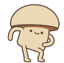 squiggledancemush