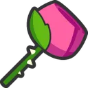 RoseForYou RoseForYou