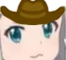 cowboyreally