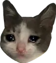 Cri
