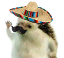 jajasi Discord emoji