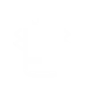 2969185026_projection_fuse