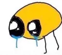 cry cry