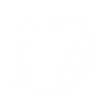 981914802_hard_launch