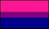 prideflag_bi