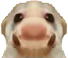 bibendabib