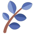 blueherb