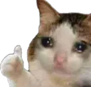 sadYes