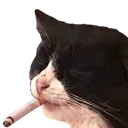 tiredafcatgb