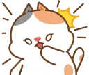 b_cattoshock