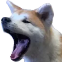 SaiAHHHH