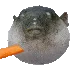 AAUGH