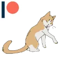 licckitty