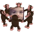 pokiQueen