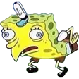 spongewtf