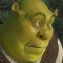ShrekOops