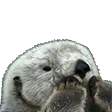 otterPeek
