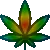 weed
