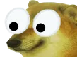 CheemsEyes