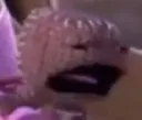 pisscry