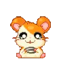 069_hamtaro_sneeze