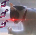:Dio_Cat: Discord Emote